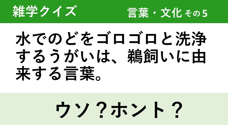 間違えると恥ずかしい 日本語常識クイズ クイズgo